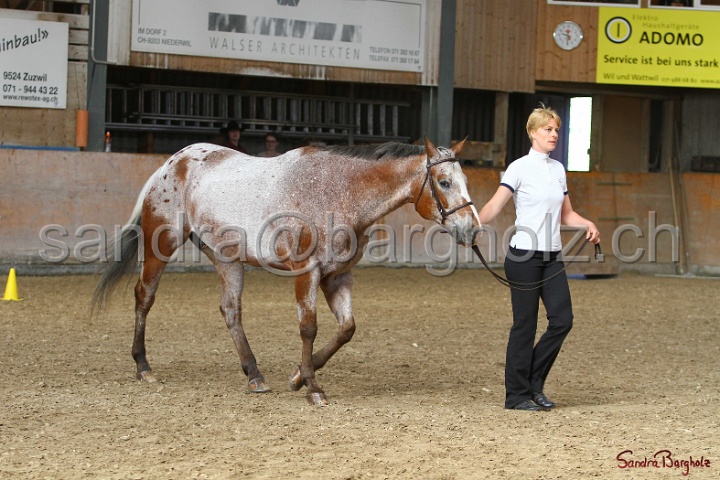 24-ApHC HIH_072.jpg